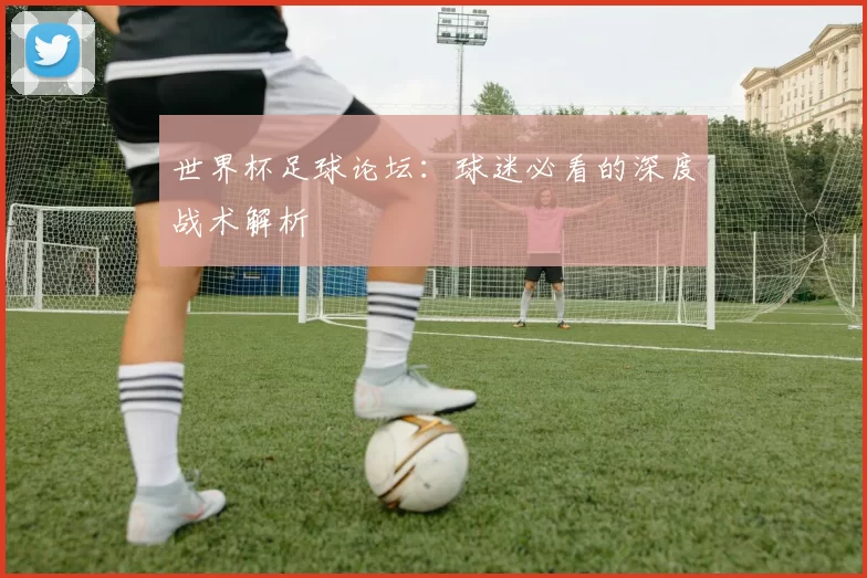 世界杯足球论坛:球迷必看的深度战术解析