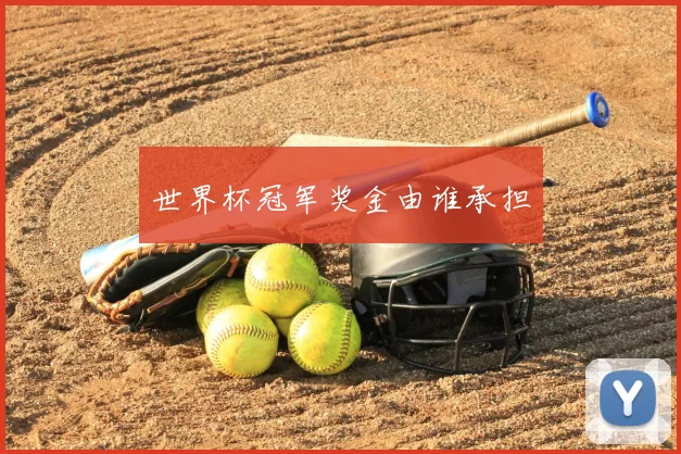 世界杯冠军奖金由谁承担