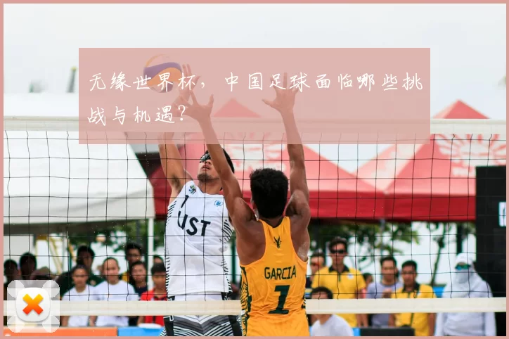 无缘世界杯,中国足球面临哪些挑战与机遇?