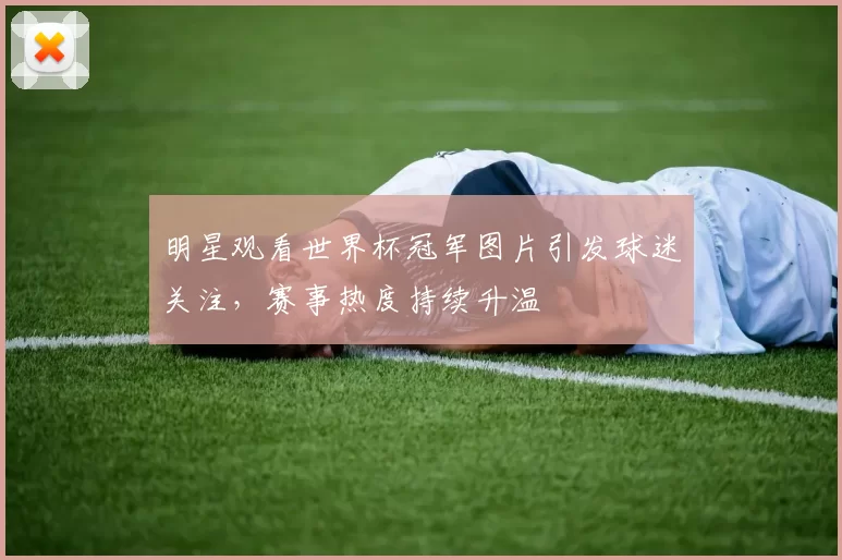 明星观看世界杯冠军图片引发球迷关注,赛事热度持续升温