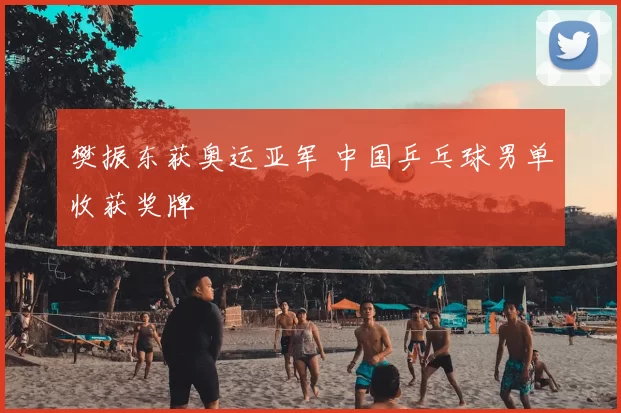樊振东获奥运亚军 中国乒乓球男单收获奖牌
