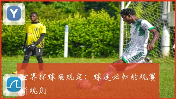 世界杯球场规定:球迷必知的观赛新规则