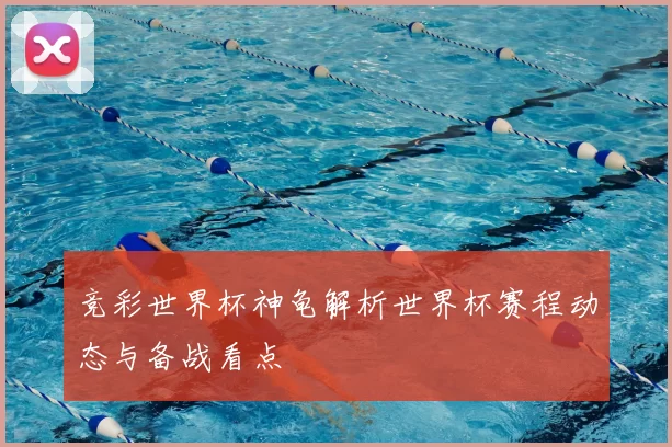 竞彩世界杯神龟解析世界杯赛程动态与备战看点