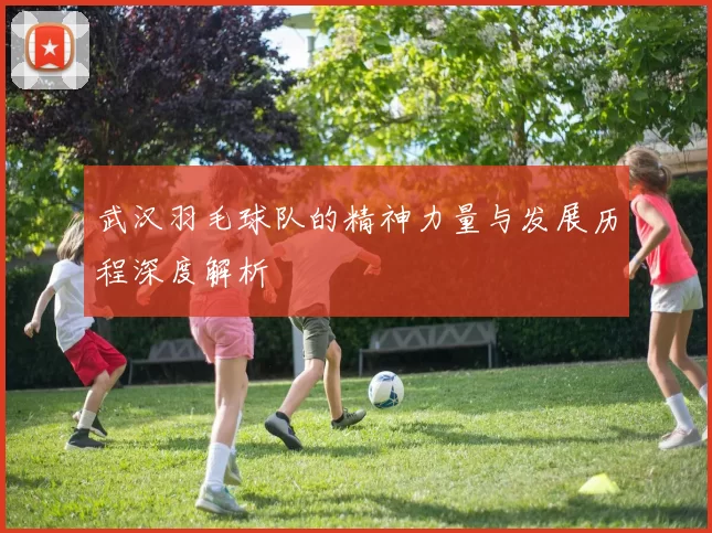 武汉羽毛球队的精神力量与发展历程深度解析