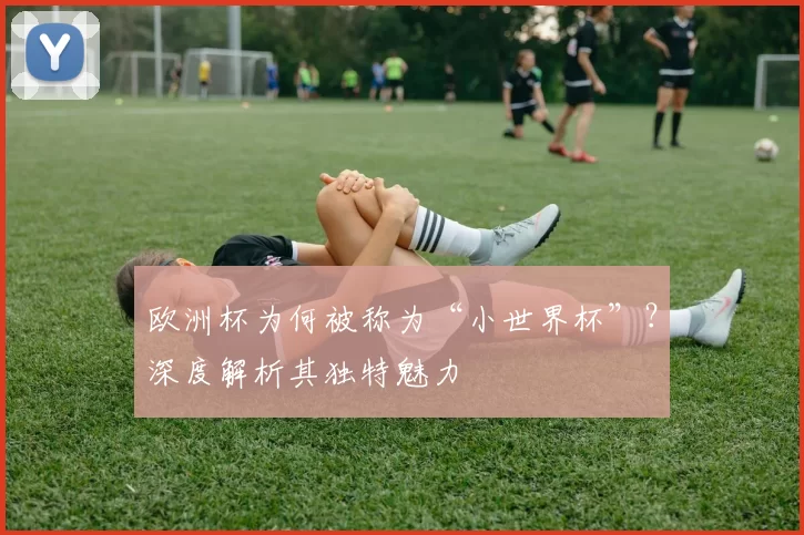 欧洲杯为何被称为“小世界杯”?深度解析其独特魅力