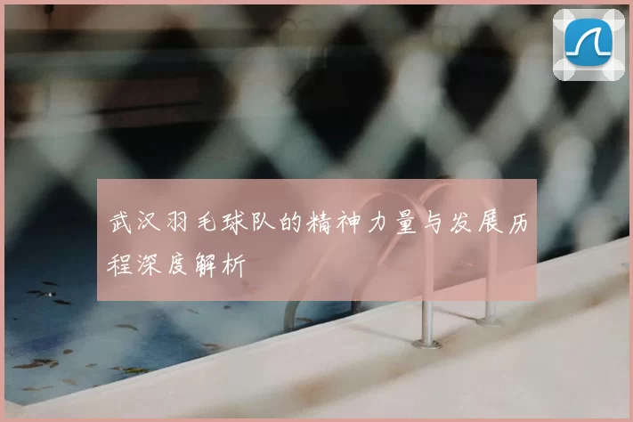 武汉羽毛球队的精神力量与发展历程深度解析