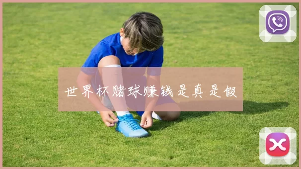 世界杯赌球赚钱是真是假