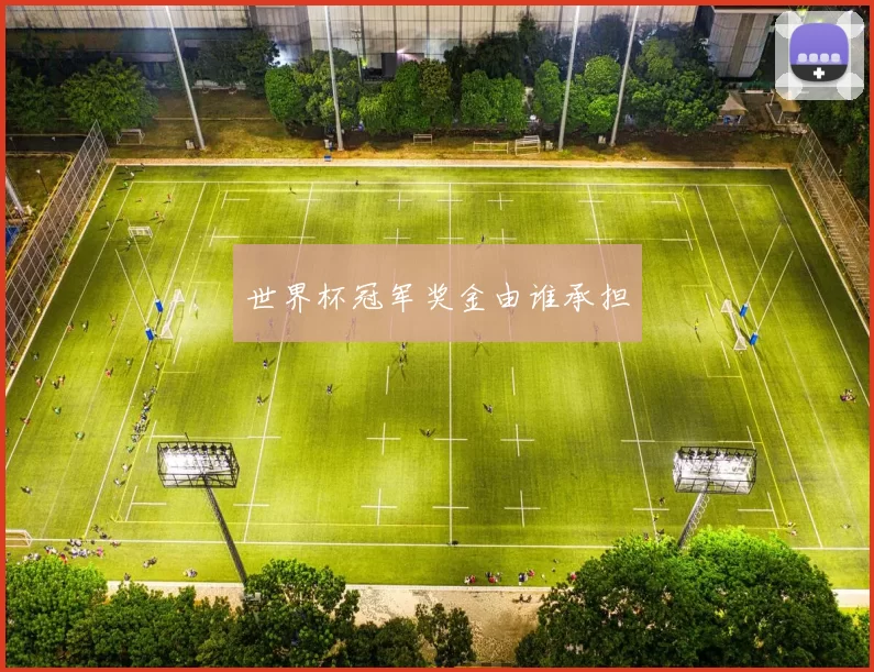 世界杯冠军奖金由谁承担
