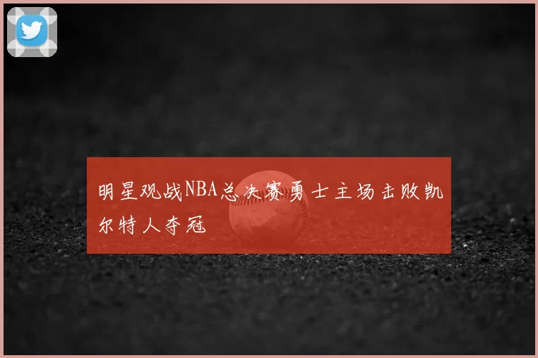 明星观战NBA总决赛勇士主场击败凯尔特人夺冠