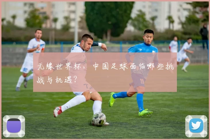 无缘世界杯,中国足球面临哪些挑战与机遇?