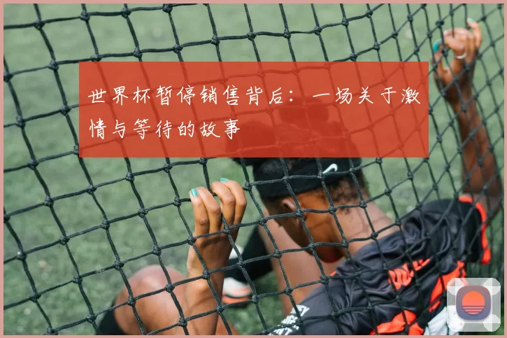 世界杯暂停销售背后:一场关于激情与等待的故事