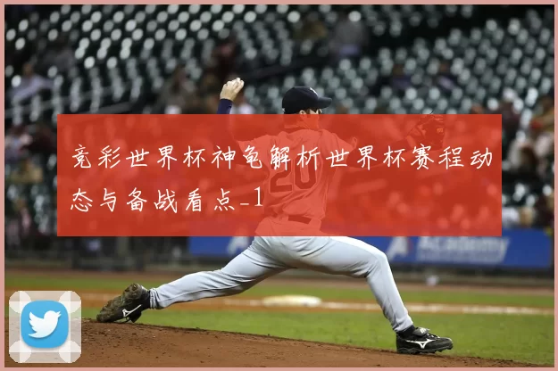 竞彩世界杯神龟解析世界杯赛程动态与备战看点_1